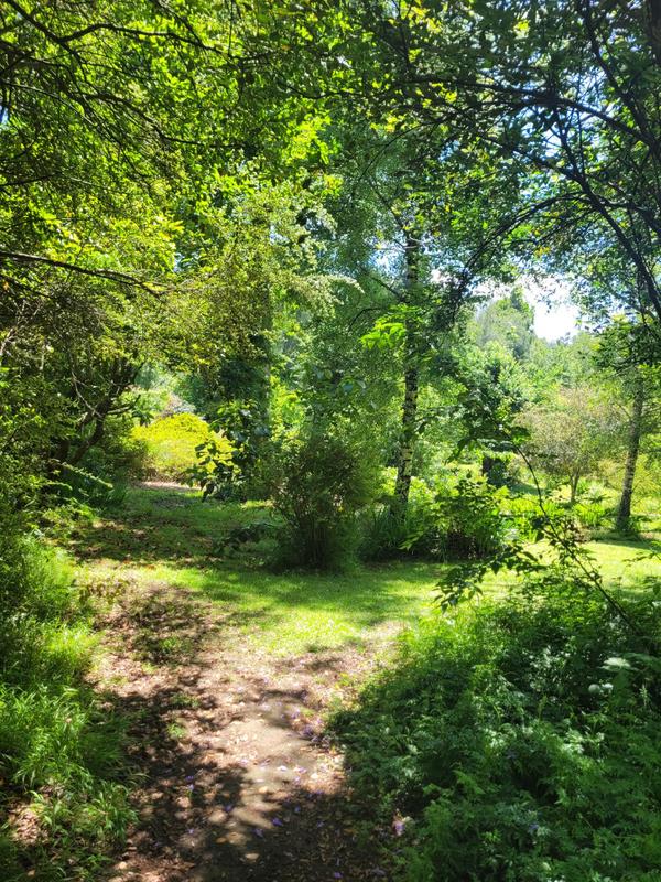 5 Bedroom Property for Sale in Hogsback Eastern Cape